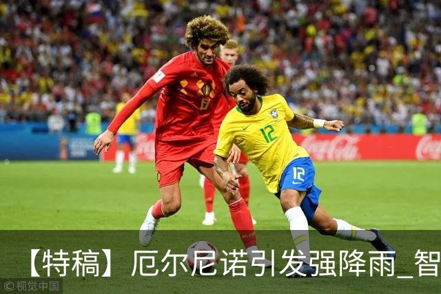 【特稿】厄尔尼诺引发强降雨 智利沙漠花海盛放