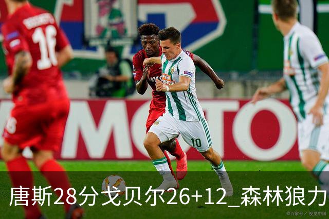唐斯28分戈贝尔26+12 森林狼力克黄蜂4连胜