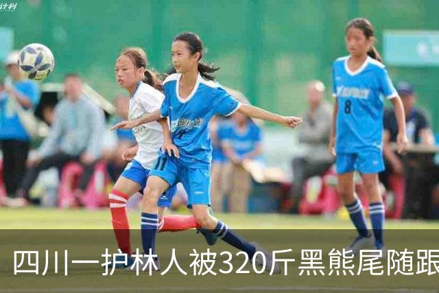 四川一护林人被320斤黑熊尾随跟了一天，无奈举起砍刀对峙
