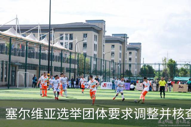 塞尔维亚选举团体要求调整并核查公共机构