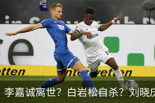 李嘉诚离世？白岩松自杀？刘晓庆在泳池内去世？现在的谣言太离谱
