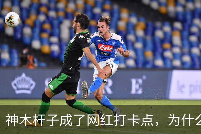 神木杆子成了网红打卡点，为什么要围起来？