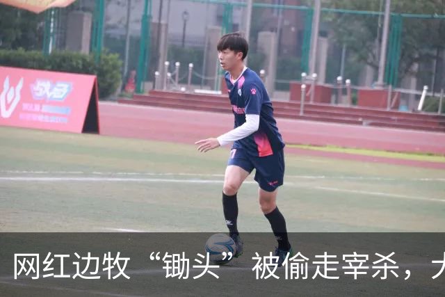 网红边牧“锄头”被偷走宰杀，犬主最新回应：双方已和解，对方赔偿30万元，将全部捐给宠物救助机构