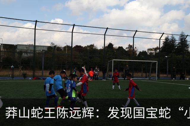 莽山蛇王陈远辉：发现国宝蛇“小青龙”，养100多条每条价格千万