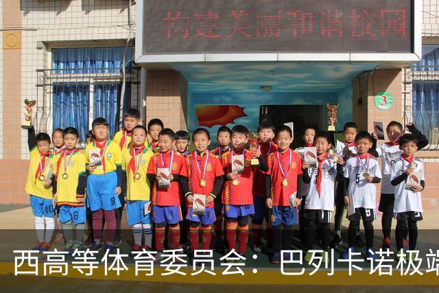 西高等体育委员会：巴列卡诺极端球迷被建议罚款+禁止入球场