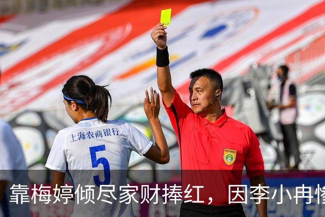 靠梅婷倾尽家财捧红，因李小冉惨遭重伤断脚，今两人差距天差地别
