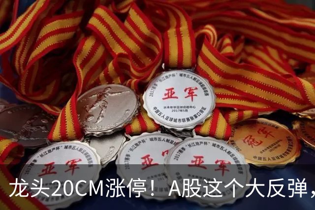 龙头20CM涨停！A股这个大反弹，太提气了！